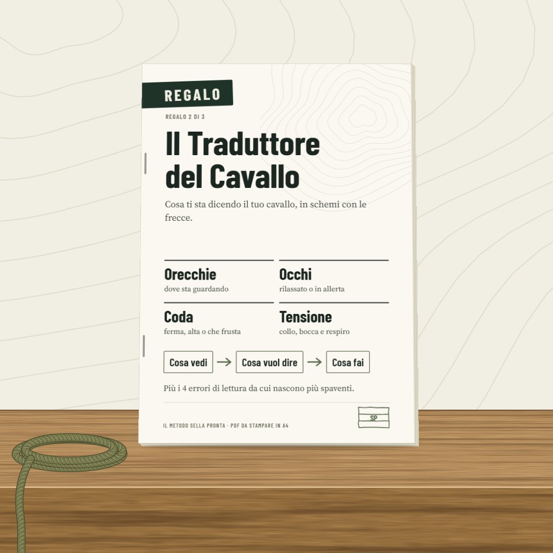 Il Traduttore del Cavallo