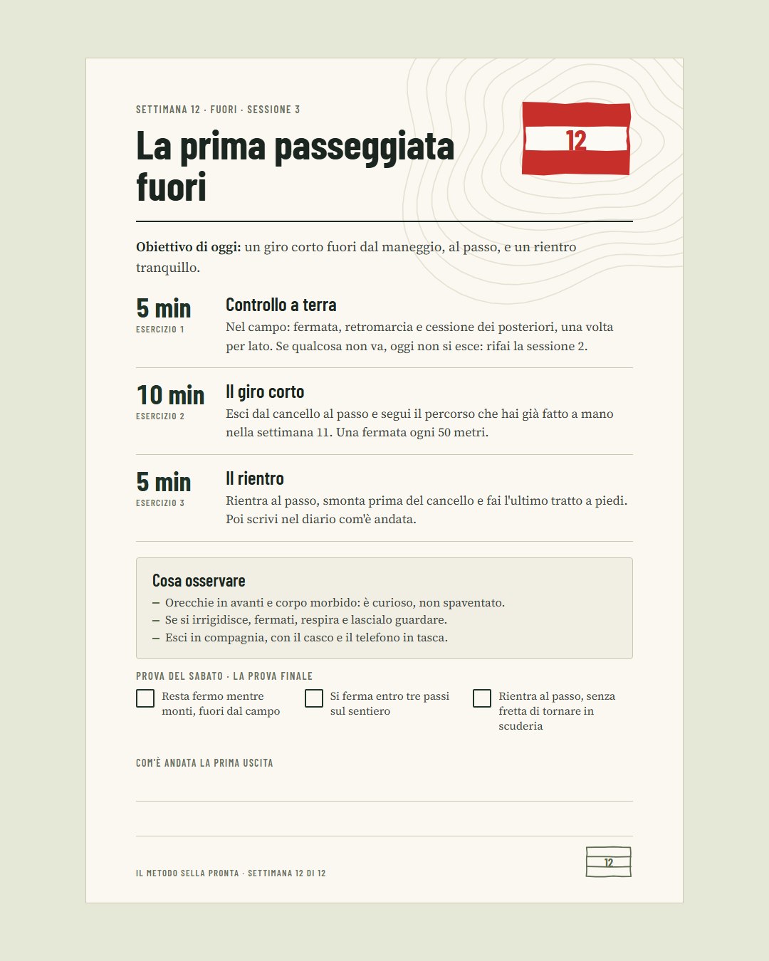 Settimana 12: fuori